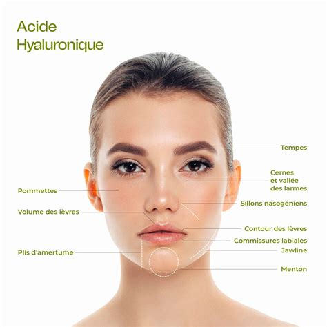 Infographie: mécanisme de l'acide hyaluronique marin et action sur les rides