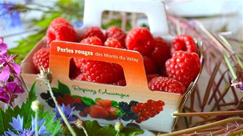 Carte régionale: distribution des producteurs de fruits rouges en Velay