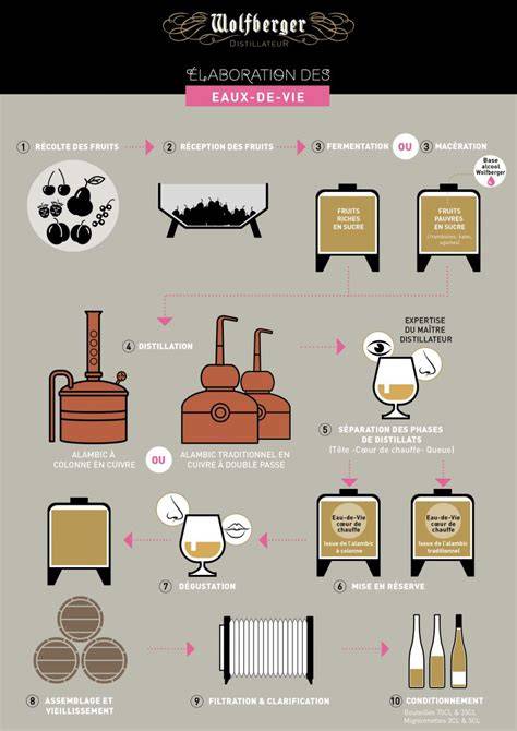 Infographie: Schéma des procédés d’élaboration des liqueurs (macération, infusion, distillation, percolation) et principaux ingrédients