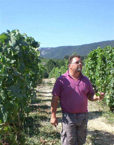 Jean-Michel Stéphan travaillant dans ses vignes