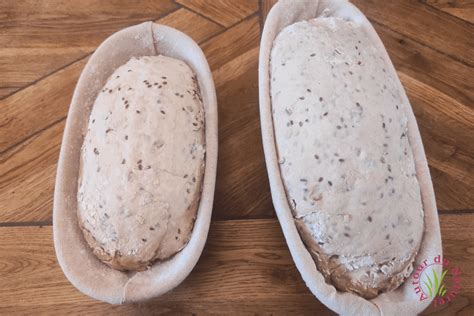 Comparaison visuelle d'un levain avant et après rafraîchi
