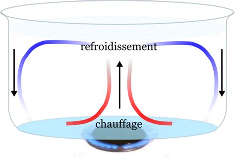 Diagramme expliquant le fonctionnement de la convection dans un Airfryer