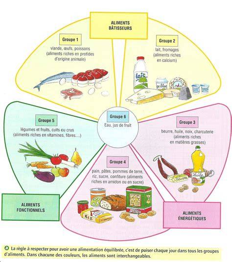 Illustration: Diagramme de répartition des types d’aliments pour poisson rouge et conseils d’alimentation