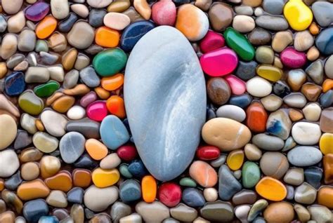 Illustration: Nuances de galets colorés pour jardins intérieurs et extérieurs