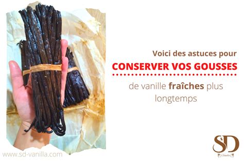 Gousses de vanille fraîches