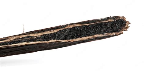 Cristaux de vanilline sur une gousse de vanille