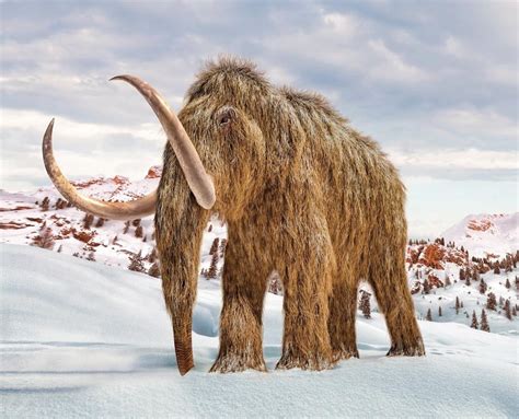 Représentation artistique d'un mammouth laineux dans son habitat naturel
