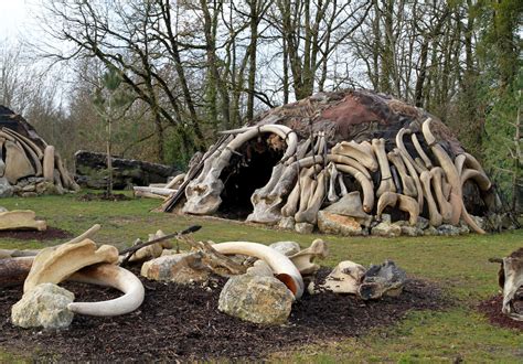 Photographie d'ossements de mammouth découverts sur un site archéologique