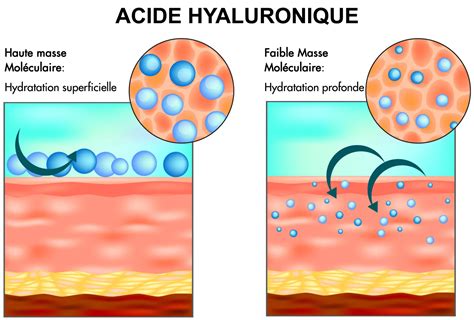 Diagramme illustrant l'action de l'acide hyaluronique sur les tissus vaginaux