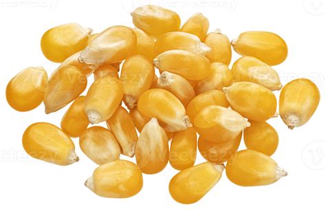 Grains de maïs