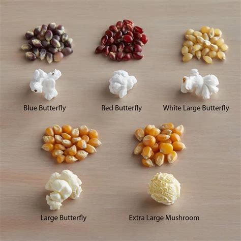 Types de pop-corn : Mushroom et Butterfly