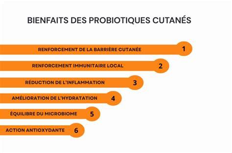 Diagramme des flux probiotiques et résultats cutanés