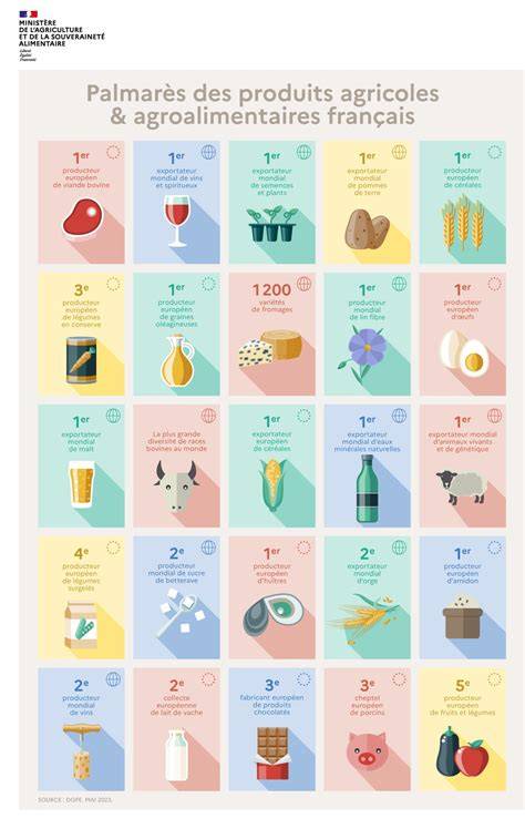 Infographie: Parcours et palmarès des maîtres pâtissiers en Europe