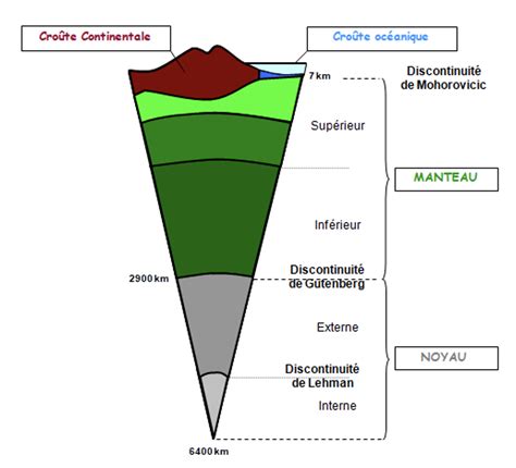 Diagramme montrant les différentes couches d'un œuf