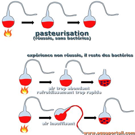 Schéma illustrant les différences entre pasteurisation et stérilisation