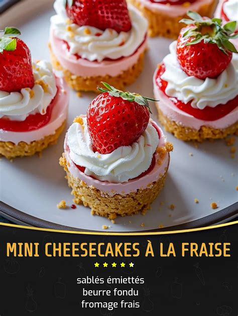 Biscuits émiettés pour la base de cheesecake