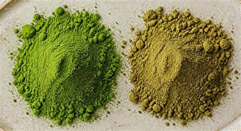 Comparatif entre matcha dégustation et matcha cuisson
