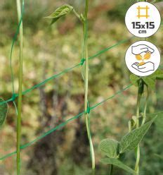 Illustration d’un filet à ramer biodégradable sur piquets