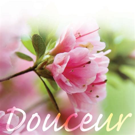 Illustration symbolique de la douceur et de la richesse, évoquant le nom 