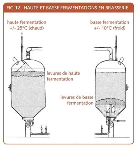schéma processus fermentation du levain