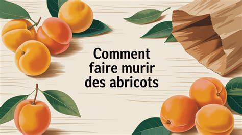 Infographie: choix et préparation des abricots