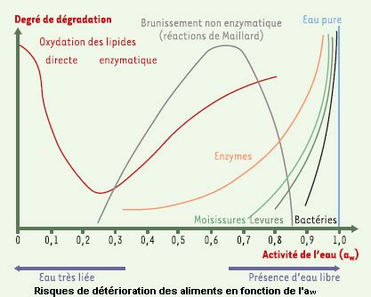 Schéma expliquant la réduction de l'eau dans les aliments par séchage