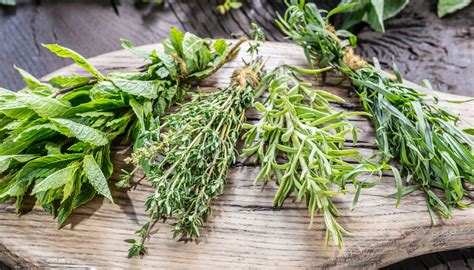 Variété d'herbes aromatiques séchées