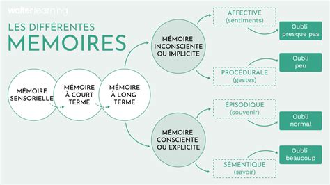 Infographie expliquant les différents types de CMI