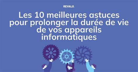 Infographie: 6 conseils essentiels pour prolonger la vie d’un bouquet