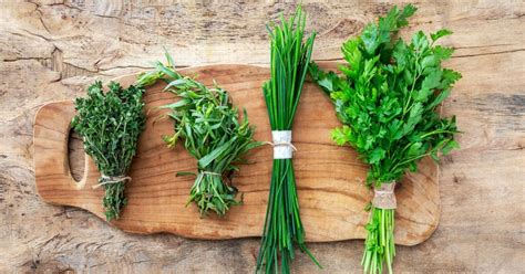 Herbes aromatiques fraîches