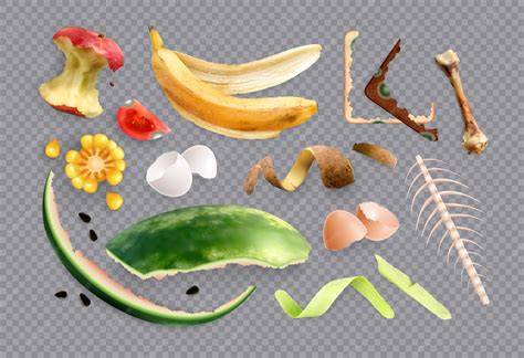 illustration restes blanquette et reuses