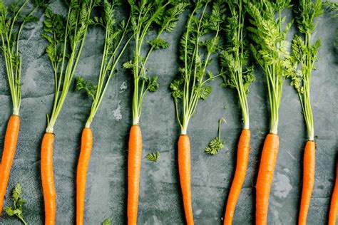 Gros plan sur des carottes fanes fraîchement lavées
