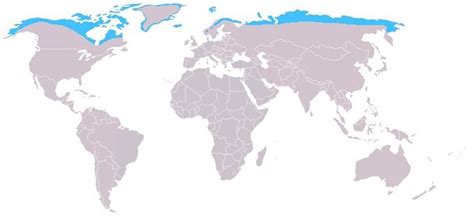 Carte de répartition du renard polaire