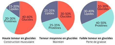 Schéma de répartition des glucides, protéines et lipides dans un entremet citron
