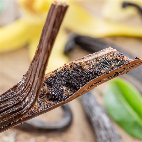 Gousses de vanille noires et séchées