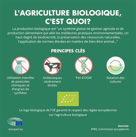 Infographie: filière biologique et certification européenne