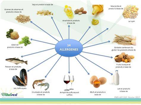 Infographie sur les 14 allergènes majeurs et leur étiquetage dans l’Union européenne