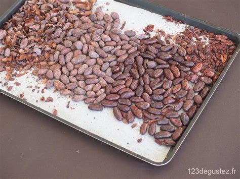 Cacao et fèves de chocolat