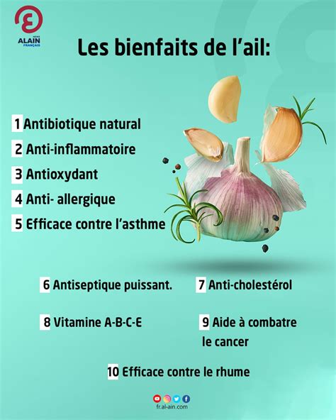 Représentation schématique des bienfaits de l'ail sur la santé