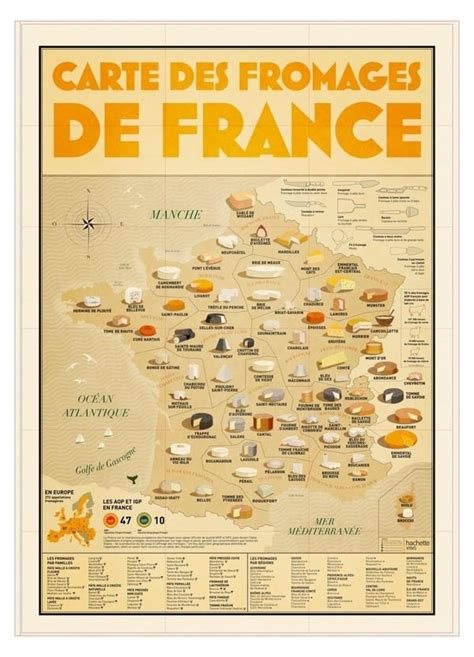 Carte des fromages fréquemment utilisés pour gratiner (gruyère, comté, emmental, parmesan) et leurs profils de saveur