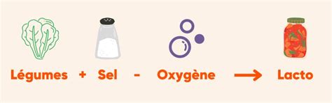 Schéma explicatif de la lacto-fermentation