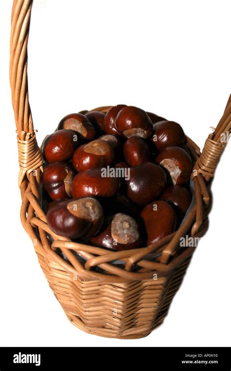 Châtaignes fraîches dans un panier