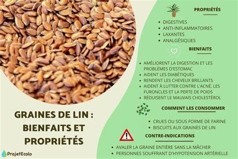 Infographie: propriétés nutritionnelles des graines de lin et étapes de préparation des crackers