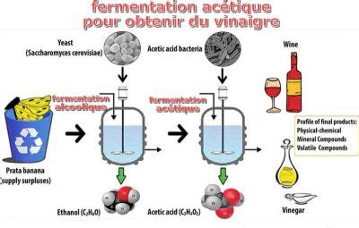 Schéma: interactions pH, aw et paramètres procédés dans la fermentation