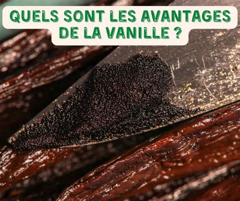 Infographie sur les bienfaits de la vanille