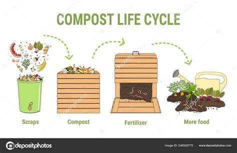 schéma_no_dig_compost