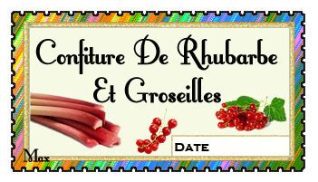 Rhubarbe et groseilles fraîchement récoltées