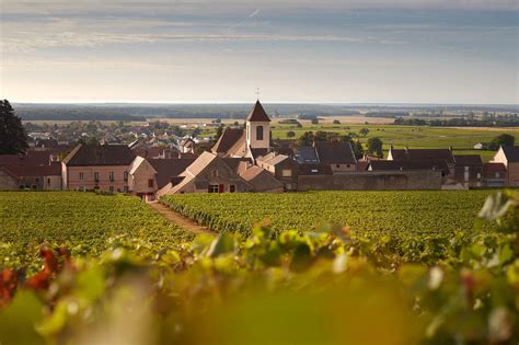 Vignoble de Clos de Tart