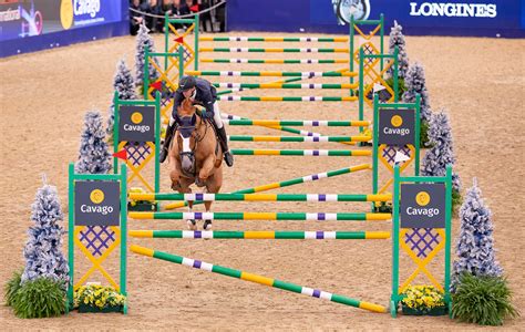 Champ envahi par la végétation et les rochers dans Farming Simulator 17