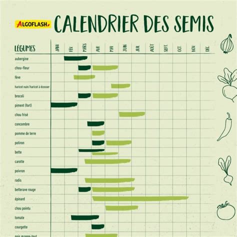 Calendrier agricole schématique montrant les périodes de semis des pois et des haricots